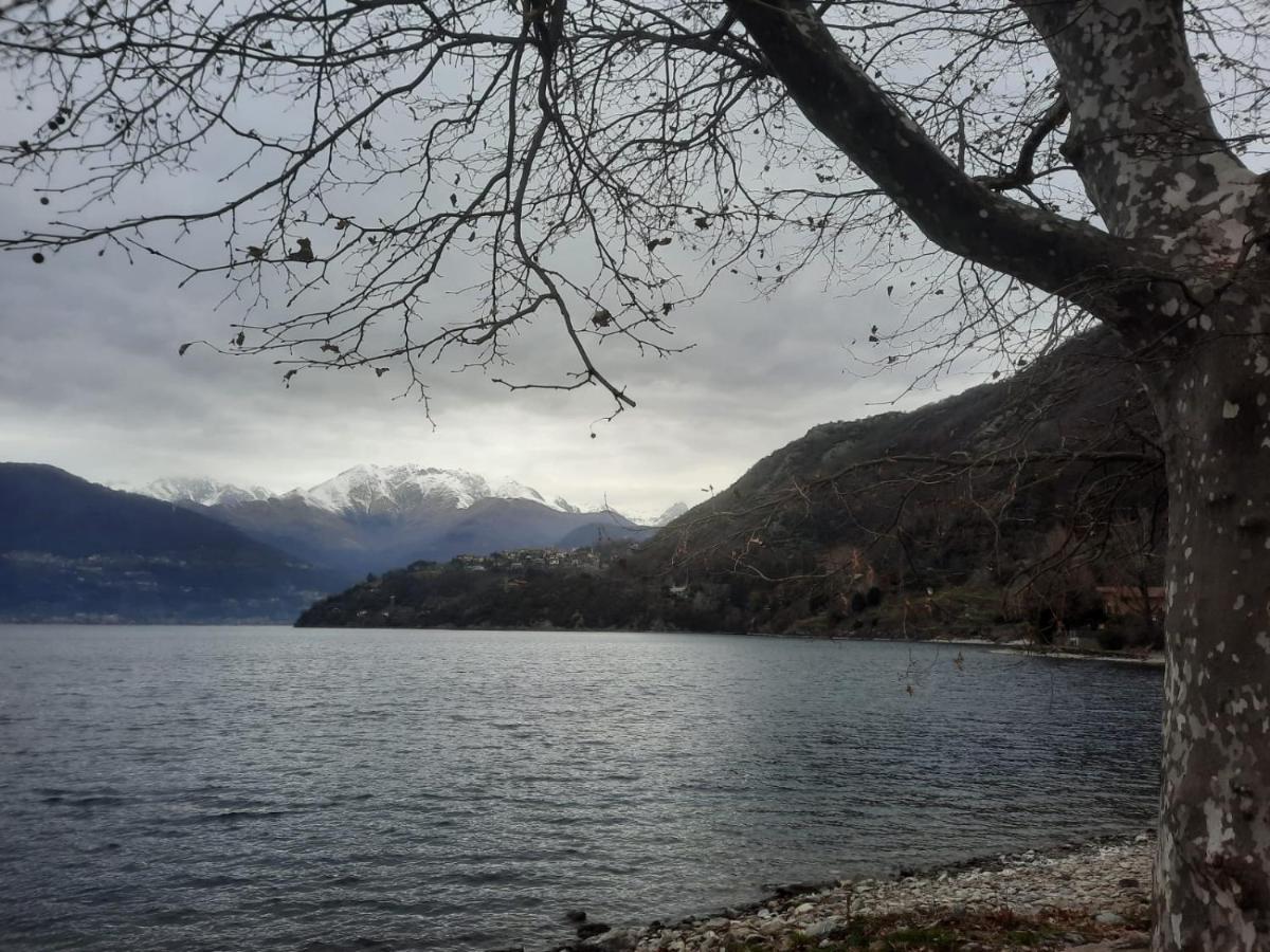 Villa Angela Dorio ภายนอก รูปภาพ